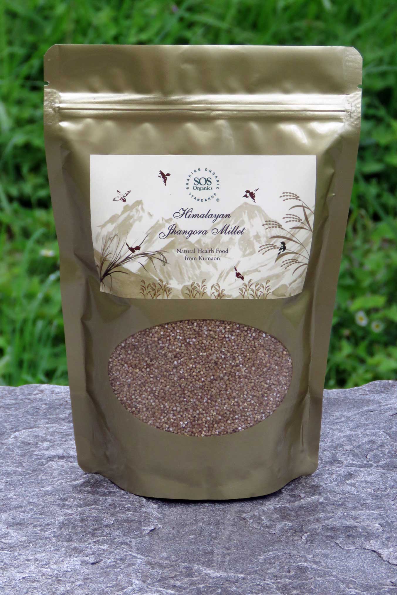 Himalayan Jhangora Millet