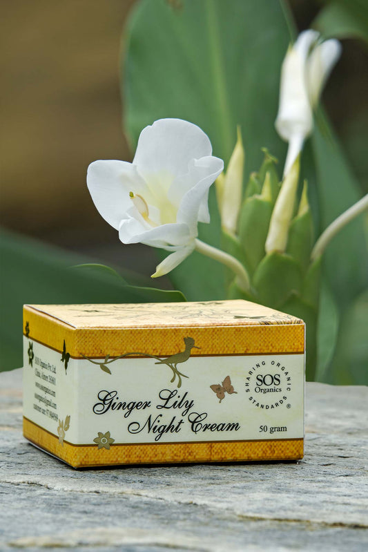 Ginger Lily Night Cream